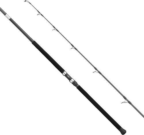 Apia Grandage Atlas C-Safari 99MAX 2.97m Plug 180gr - Jig 200gr Shore Jig Kamış