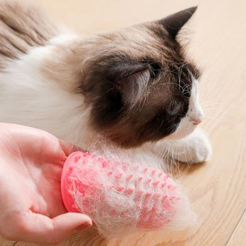 Kedi & Köpek Tüy Toplama Yıkama ve Ayarlanabilir Köşe Kaşınma Silikon Fırçası 12,5 x 9 cm