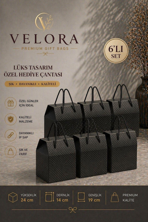 Velora 6'lı Premium Karton Poşet Hediye Paketi Karton Çanta 24x14x20cm