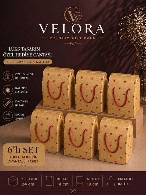 Velora 6'lı Premium Karton Poşet Hediye Paketi Karton Çanta 24x14x20cm