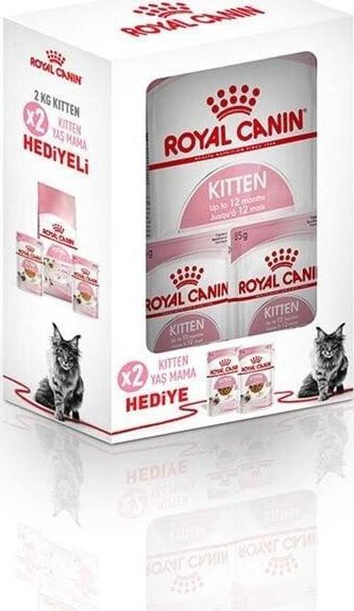 Kitten 36 Yavru Kedi Maması 2 Kg+2 Konserve Hediyeli