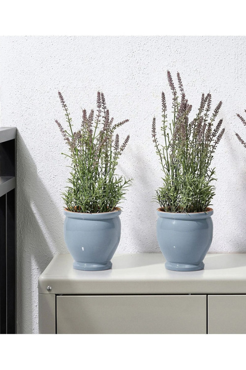 2 Adet Country Tarzı Seramik Saksı Açık Mavi 12 Cm
