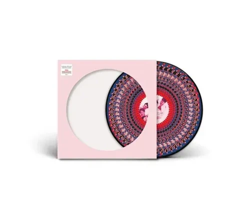 Take That Everything Changes Limited Zoetrope National Album Day 2024 Edition LP Plak