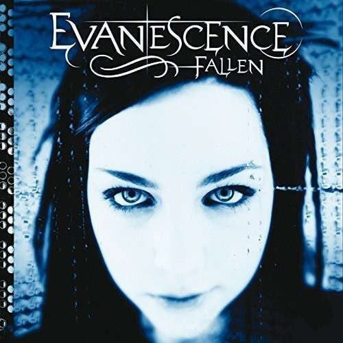 (Müzik CD sidir Plak Değildir) CD Evanescence Fallen CD