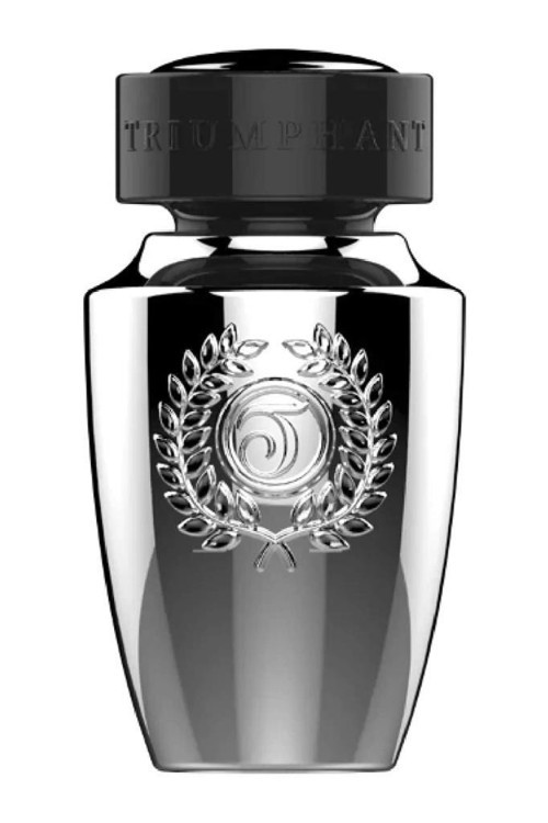 Silver Glory EDT 100 ml Erkek Parfüm