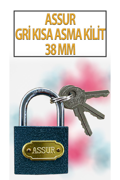 Kısa Tip Gri Asma Kilit 38 MM 3 Anahtarlı