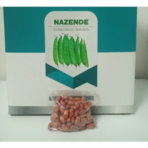 NAZENDE OTURAK FASULYE TOHUMU 100 GR 2 ADET