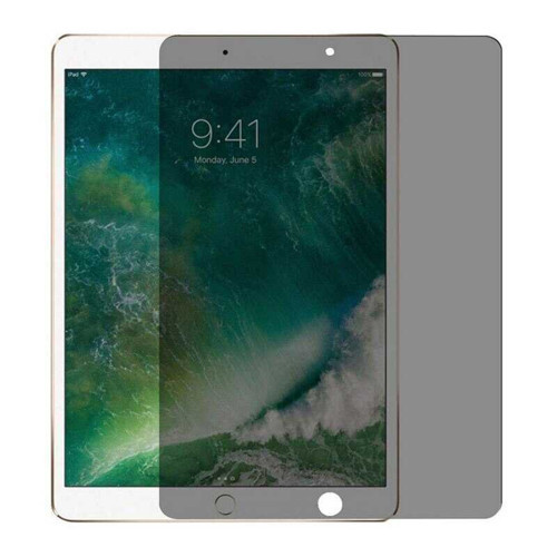 iPad Pro 10.5 (7.Nesil) MKST Tablet Privacy Temperli Cam Ekran Koruyucu - Siyah