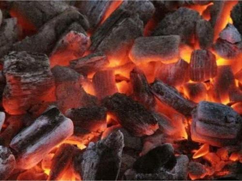 Tozsuz Orjinal Çatalca Meşe Büyük Parça Mangal Kömürü 10 Kg