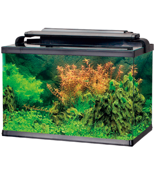 XT300 LEECOM AKVARYUM KENDİNDEN MOTORLU LED AYDINLATMALI (32x21x27 cm) 15 litre