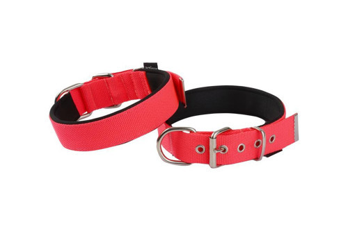 Neon Yumuşak Doku Köpek Boyun Tasma Red Medium 3cmx58cm