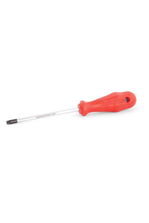 Delikli Torx Tornavida Tr 30 mm (10 Adet)