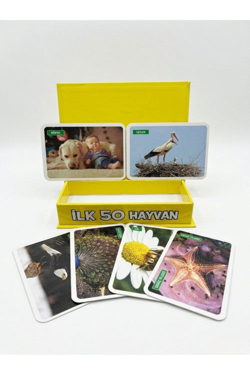 İlk 50 Hayvan Eğitici Zeka Kartları - Bebek Ve Çocuk Gelişimi İçin Gerçek Görselli Flashcard Seti