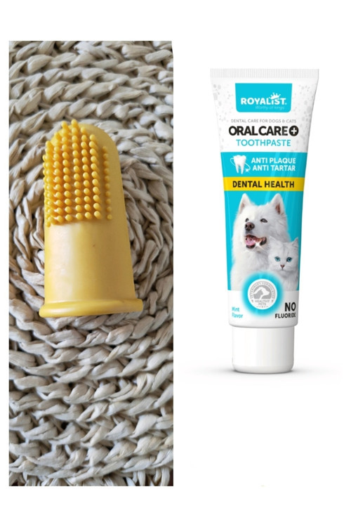Kedi Ve Köpek Diş Macunu 100 Ml Kedi Köpek İçin Parmağa Takılıp Kullanılan Diş Fırçası