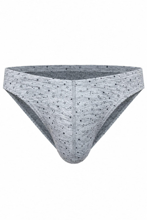 Erkek Yıldız Desenli Gri Pamuklu Klasik Slip Külot