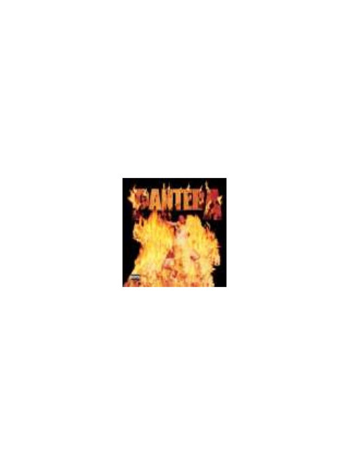 Pantera – Reinventing The Steel / Plak