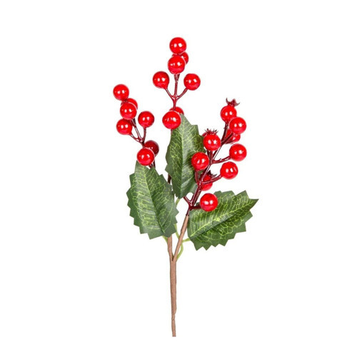 Yılbaşı Çiçeği, Pike, Berry, Kırmızı Yeşil
