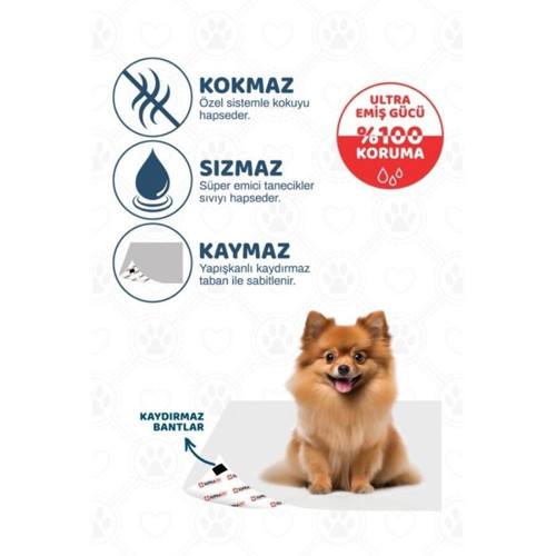 Köpek Çiş Eğitim Pedi 60x90 cm 10'lu