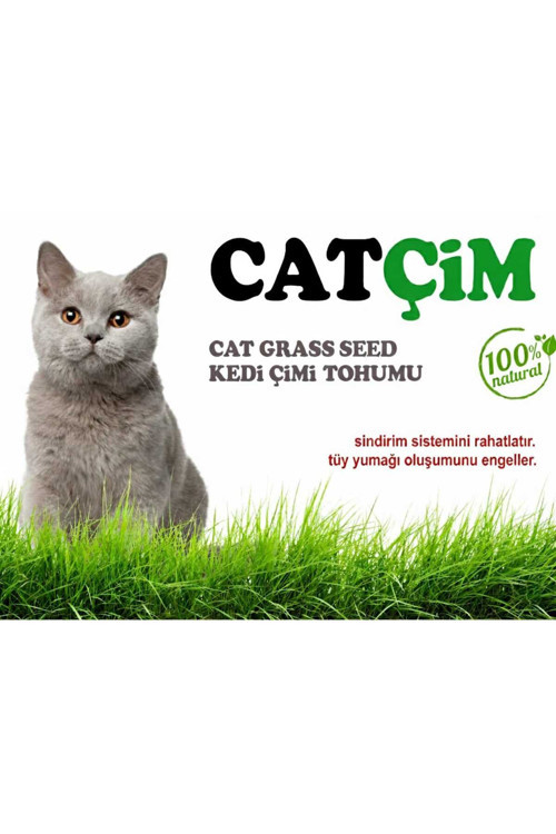 GoldMind KEDİ ÇİMİ KİTİ 1Kg Arpa Buğday Yulaf. (3lü Karışım) 1Kg