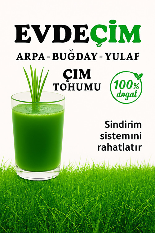 GoldMind EVDE ÇİM 500Gr Buğday, Arpa, Yulaf Çimi Tohumu (3lü karışım) 500g