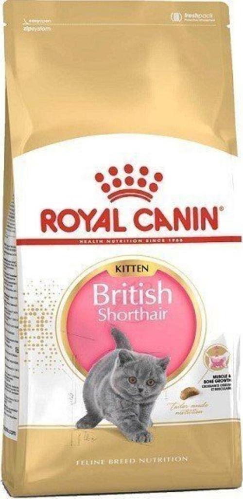 British Shorthair Kitten Yavru Kedi Maması 2 Kg