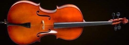 CELLO KILIFLI+YAY+REÇİNE, 3/4 SCALE, FRENCH STYLE,