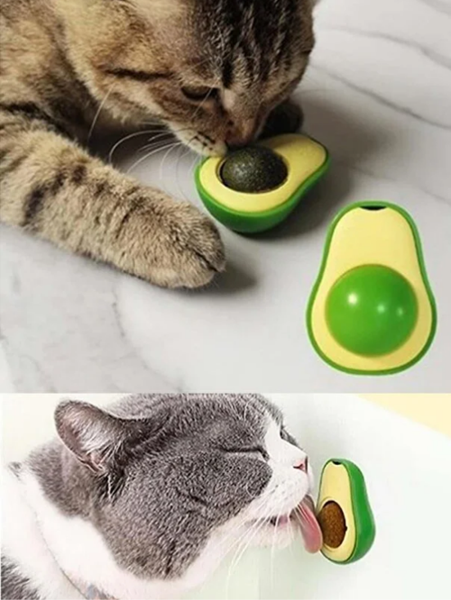 Yenilebilir Doğal Avokado Model Kedi Çimeni Dönen Topu Yalama Topu