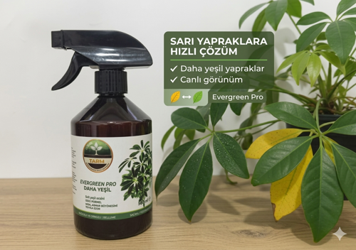 Yeşil Bitkiler İçin Sıvı Bitki Besini - Evergreen Pro (500 ml Sprey)
