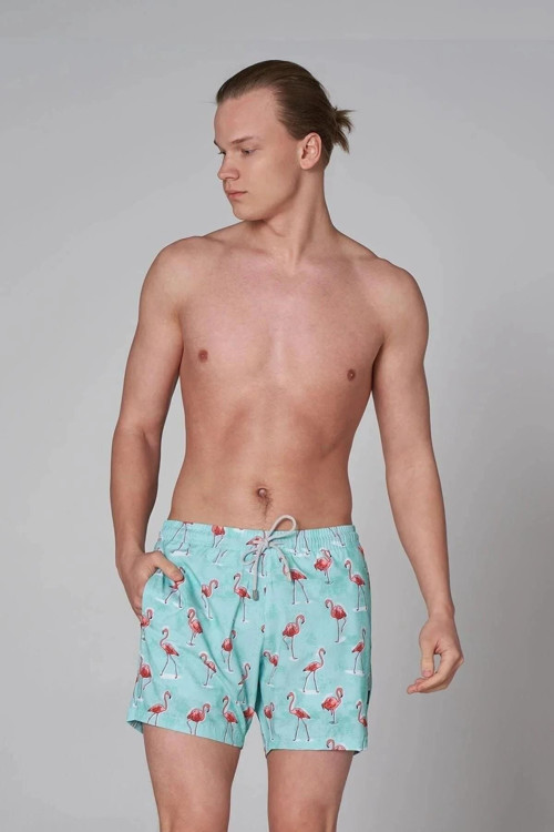 Gts All Over Prınted Erkek Deniz Şortu JFSSSWL60-FLAMINGO MINT