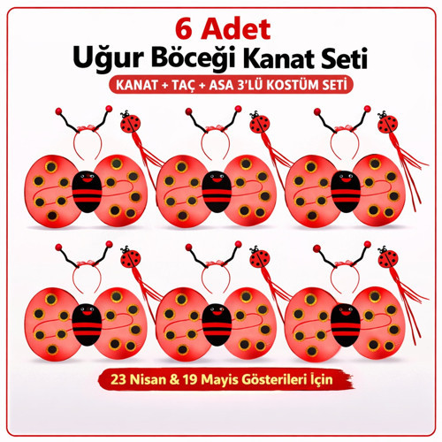6'lı Uğur Böceği Ateş Böceği Kostüm Seti – Kanat Taç Asa (4604)