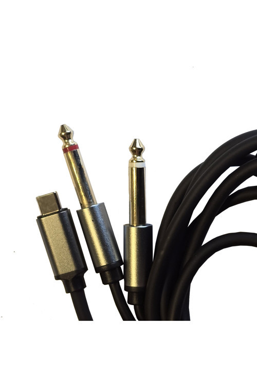 Type-C to 2x 6.35 mm Çivi Jak Ses Kablosu 1.5 Metre Telefon Bilgisayar Mikser Amfi Dönüştürücü Kablo