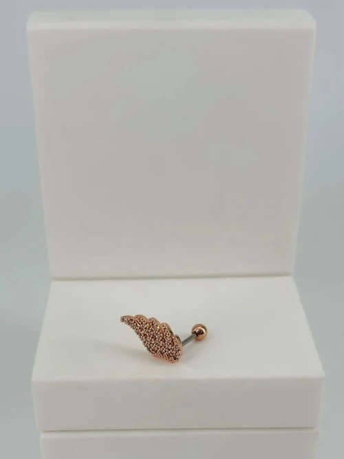 Ieg - Tragus Kıkırdak Küpesi