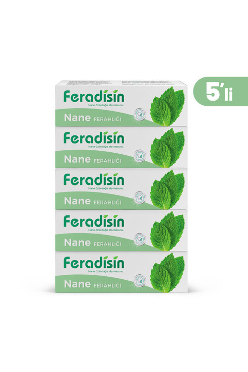 Gimdes Helal Sertifikalı Nane Ferahlığı Diş Macunu 5 li Set