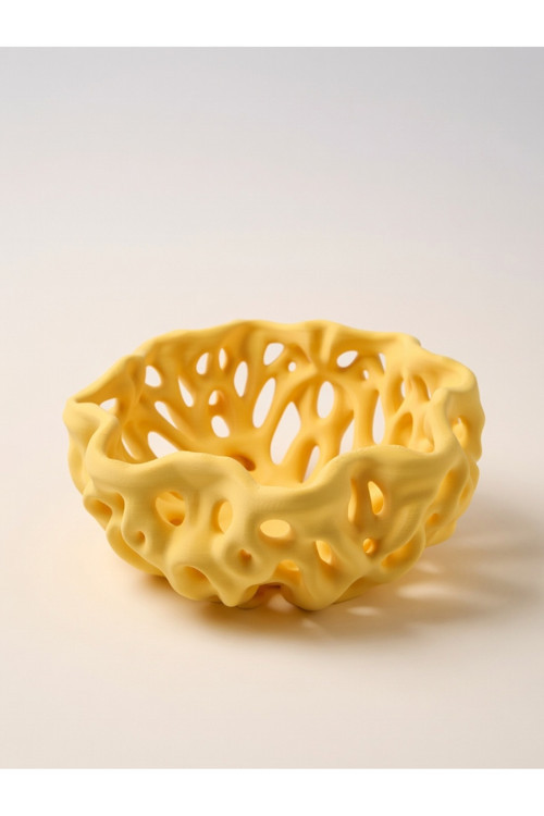 MYCRAFT3D Organik Delikli Dekoratif Kase Modern Şık Hafif Dayanıklı Ev Dekoru 20x9 cm