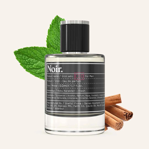. E10 Erkek EDP Parfüm 50 ML
