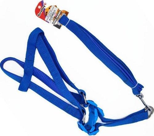 Euro Dog Köpek Uzatma Tasması ve Göğüs Tasması Takımı Mavi 15 Mm 120 Cm