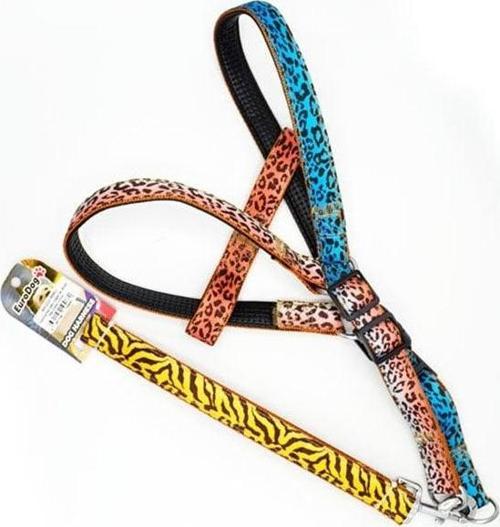 Euro Dog Köpek Uzatma Tasması ve Göğüs Tasması Takımı Renkli 25 Mm 120 Cm