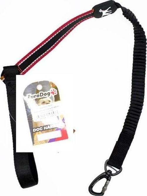 Euro Dog Lastikli Köpek Uzatma Tasması Kırmızı 25 Mm 120 Cm