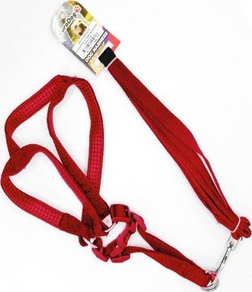 Euro Dog Köpek Uzatma Tasması ve Göğüs Tasması Takımı Kırmızı 15 Mm 120 Cm