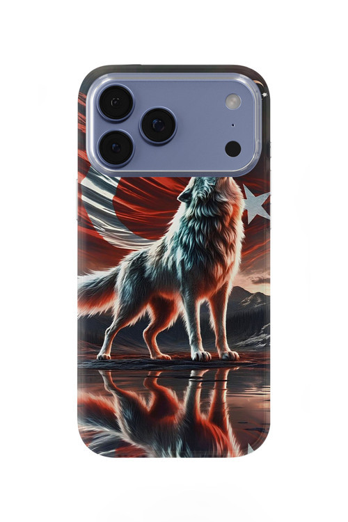 İphone 17 Pro Max Uyumlu Baskılı Şeffaf Telefon Kılıfı | Koleksiyon: Göktürk Inscriptions