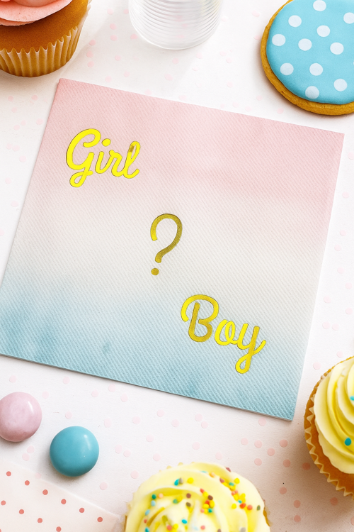 Peçete Cinsiyet Partisi Peçetesi Pembe Mavi Geçişli Girl Boy Yazılı Lüks Cinsiyet Peçetesi 20li