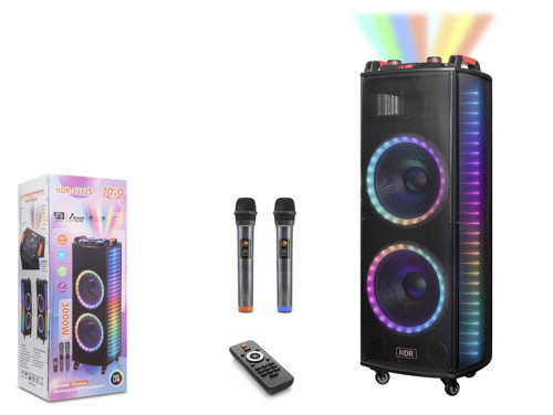 NDR1212S Bluetooth Hoparlör FM Radyo 2x12 İnç USB TF AUX RGB Çift Mikrofonlu Kumandalı - Siyah