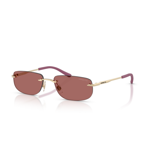 AN 3096 748/69 55 Arnette Güneş Gözlüğü