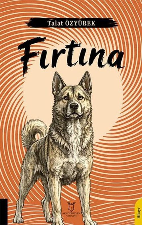 Fırtına