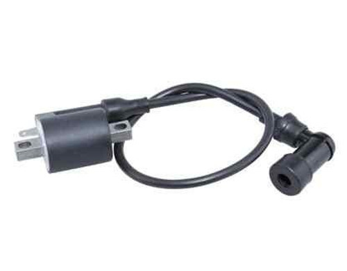 Ramzey Cub 100 Ateşleme Bobini Ym