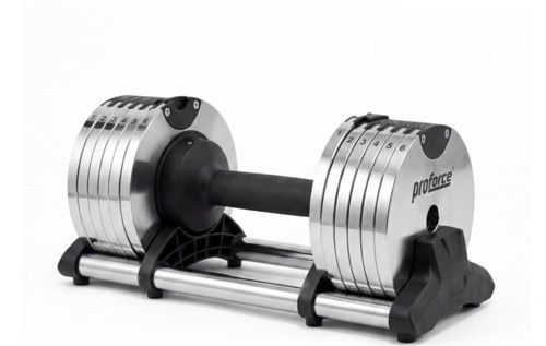 AYARLANABİLİR KROM DAMBIL 24 kg DB24PRO-TeK Adet