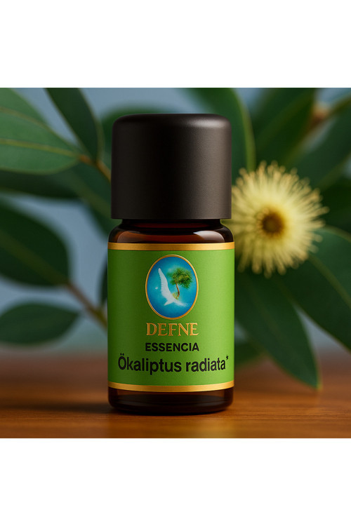 Okaliptus Radiata Organik %100 Saf Uçucu Yağ 10Ml