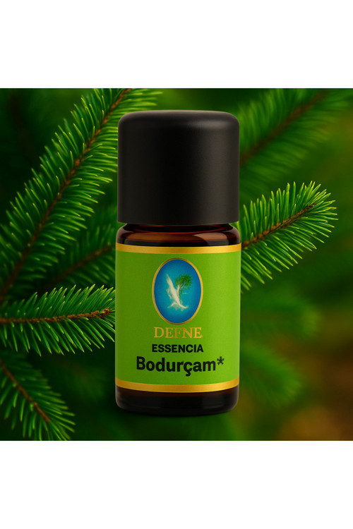Bodur Çam Organik %100 Saf Uçucu Yağ 10Ml