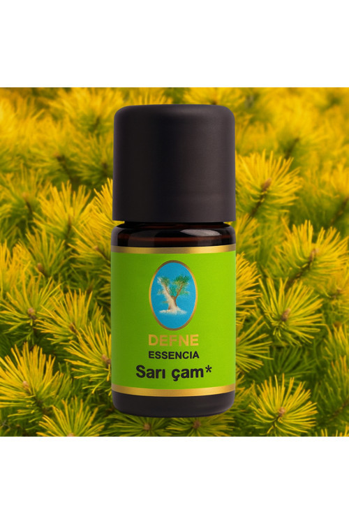 Sarı Çam Organik %100 Saf Uçucu Yağ 10Ml