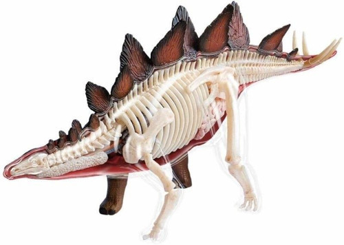 4D Dinozor Anatomi Modeli 39PRÇ.STEGOSAURUS